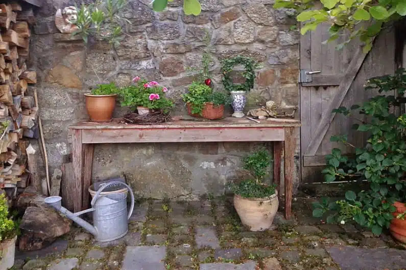 optimiser vente maison bien immobilier plus-value courtier angers